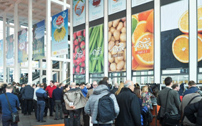 Un successo al Fruit Logistica di Berlino  per Veronamercato e le aziende scaligere