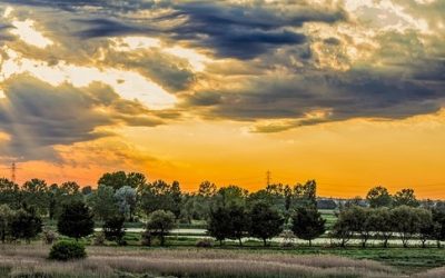 Molte iniziative e novità sono proposte dalla nona edizione del “Festival DeltArte – il delta della creatività”