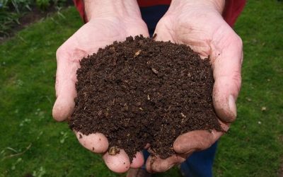 Sacchetti di compost in omaggio agli utenti degli ecocentri Veritas