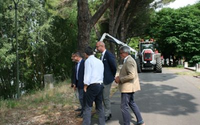 Amia interviene sull’argine dell’Adige nel tratto tra Castelvecchio e Parona