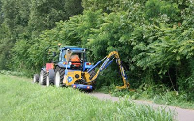 Intervento straordinario di sflacio vegetazione presente sui cigli della ciclabile Boschetto-Buri