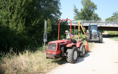 Amia Verona: Intervento straordinario di sflacio vegetazione
