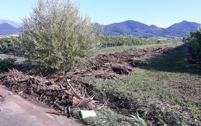 Per contrastare gli allagamenti necessari prevenzione e investimenti