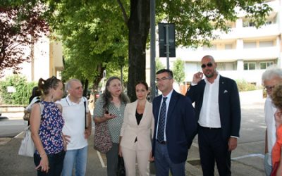 Amia Verona: rimozione alberature pericolanti in via Anzani e in via Risorgimento