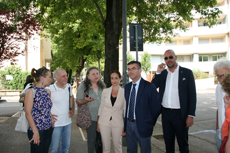 Amia Verona: rimozione alberature pericolanti in via Anzani e in via Risorgimento