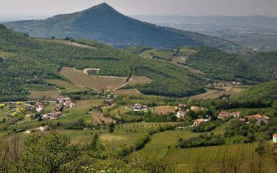 Anbi: nuova rete irrigua nell’area delle terme euganee