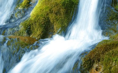 29 comuni trevigiani sottoscrivono il “Manifesto per le Terre dell’Acqua”