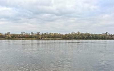 Messa in sicurezza del fiume Adige a valle di Verona