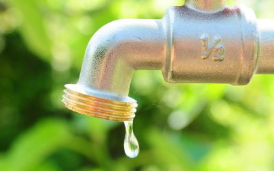 L’acqua è un bene prezioso: i consigli di AcegasApsAmga per usarla senza sprechi