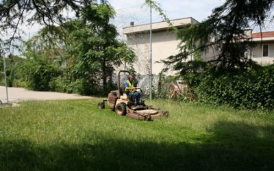 Amia: interventi di manutenzione nelle aree verdi