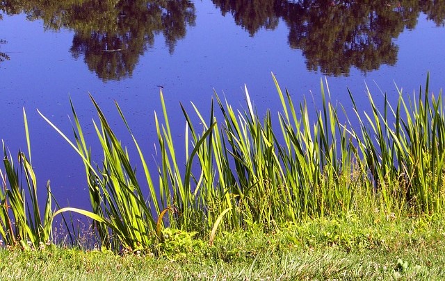 Festival itinerante dell’acqua lungo i fiumi vicentini