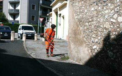 Sfalcio vegetazione infestante a Verona
