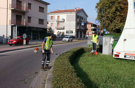 Manutenzione aree verdi a Verona: le vie di questa settimana