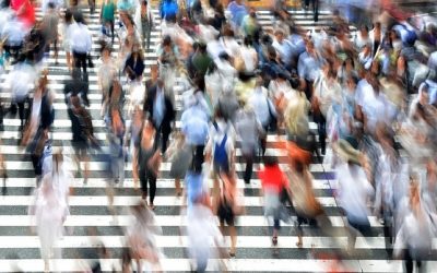 Agsm Verona: un questionario on line per conoscere le opinioni degli utenti