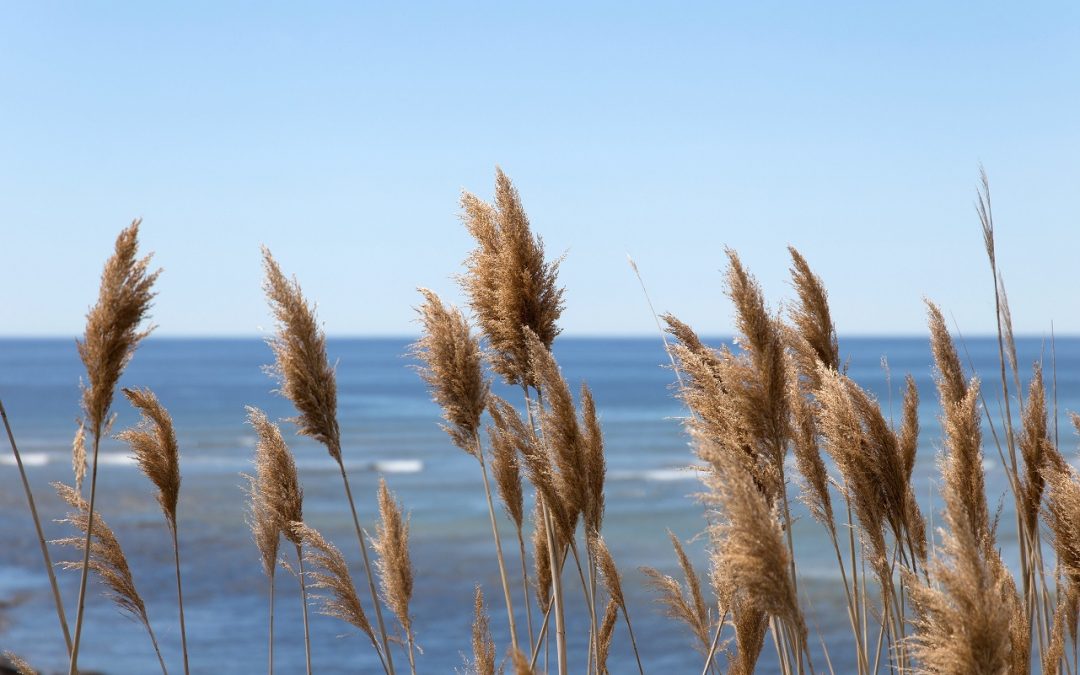 Torna il 27 ottobre Porte Aperte dell’Arpav