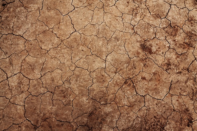 Nel 2018 un caldo da record