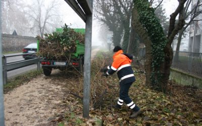 Gli interventi settimanali di Amia Verona per la manutenzione delle aree verdi