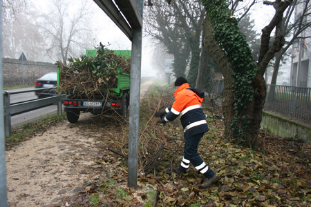 Gli interventi settimanali di Amia Verona per la manutenzione delle aree verdi