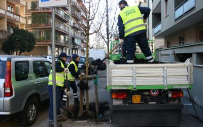 Amia Verona pianterà 350 alberi per una città sempre più verde