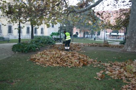 Amia Verona: gli interventi settimanali di manutenzione delle aree verdi