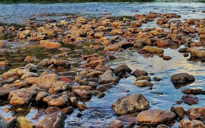 La portata del fiume Brenta è scesa a livelli d’attenzione