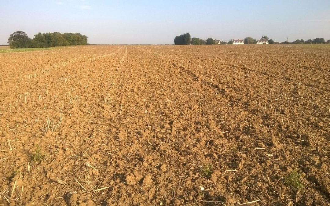 Bioplastiche e prodotti biodegradabili per l’agricoltura: incontri formativi organizzati da Etra