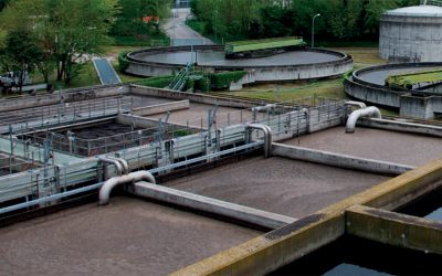 Torreglia: interventi di Etra a favore dell’ambiente