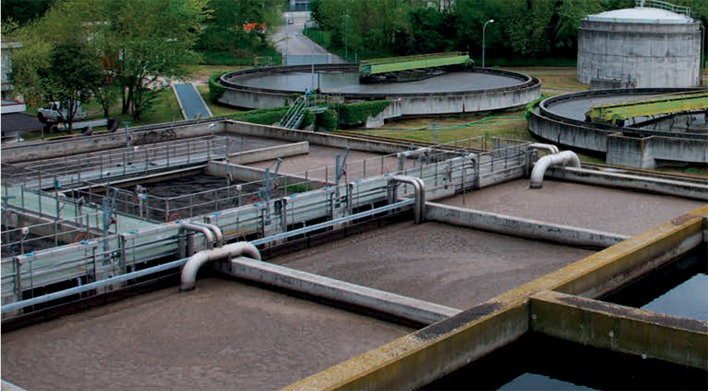 Torreglia: interventi di Etra a favore dell’ambiente
