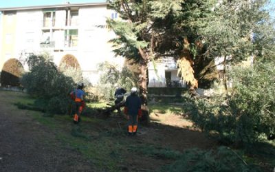 Amia Verona in azione a Mizzole: intervento di riqualificazione del verde a San Fenzo