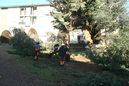 Amia Verona in azione a Mizzole: intervento di riqualificazione del verde a San Fenzo