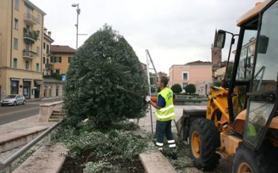 Gli interventi settimanali di manutenzione delle aree verdi a Verona