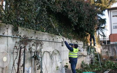 Gli interventi settimanali di manutenzione delle aree verdi di Amia Verona