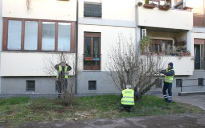 Gli interventi settimanali di manutenzione delle aree verdi di Verona