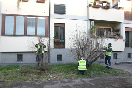 Gli interventi settimanali di manutenzione delle aree verdi di Verona