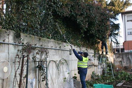 Gli interventi settimanali di manutenzione delle aree verdi di Amia Verona