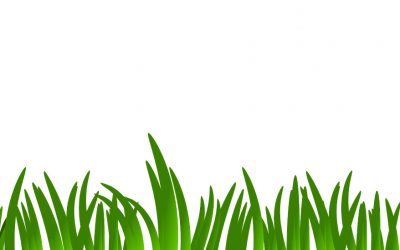 A fine mese inizia la bonifica dell’ex discarica di Salzano