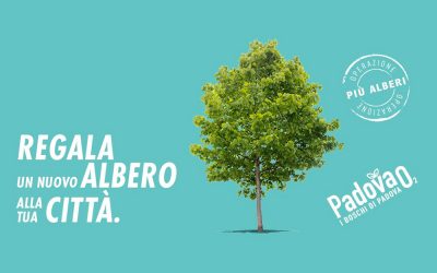 Al via l’Operazione Più Alberi di AcegasApsAmga