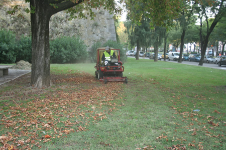 Verde pubblico a Verona: gli interventi settimanali di Amia