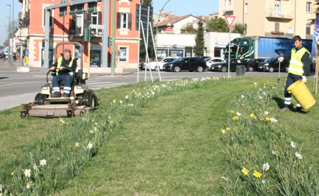 Gli interventi di questa settimana di Amia Verde pubblico