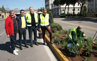 Viale Piave a Verona cambia look: in vista del Vinitaly arrivano 800 nuove piante