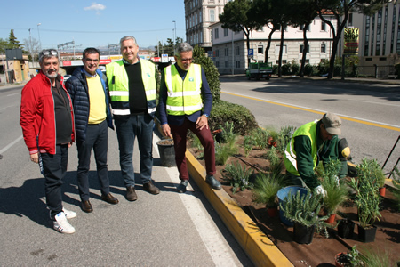 Viale Piave a Verona cambia look: in vista del Vinitaly arrivano 800 nuove piante