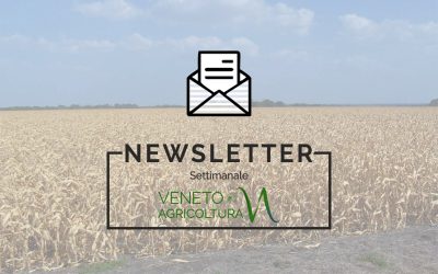 Il nuovo numero della newsletter Agricoltura Veneta