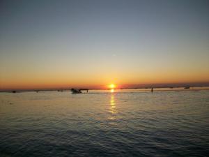 Ambiente Informa: ecco l’ultima newsletter