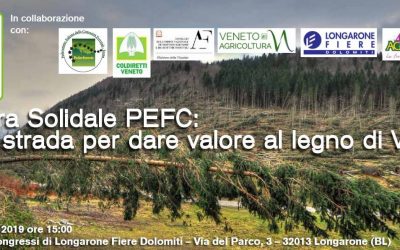 Tempesta “Vaia”, convegno a Longarone: una strada per dare valore al legno schiantato