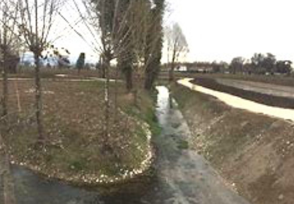 Il Consorzio Brenta inaugura i lavori di riqualificazione di due risorgive