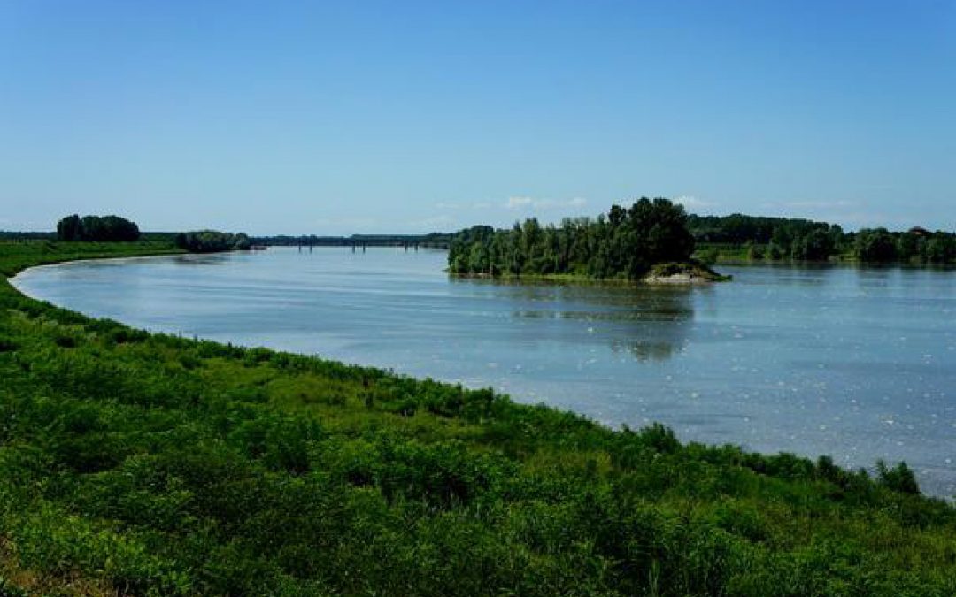 Inquinanti nel Po: Acquevenete ha immediatamente attivato i filtri