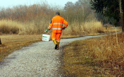 Il 5 maggio domenica ecologica a Vigodarzere