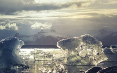 Il nuovo numero della newsletter Ambiente Informa