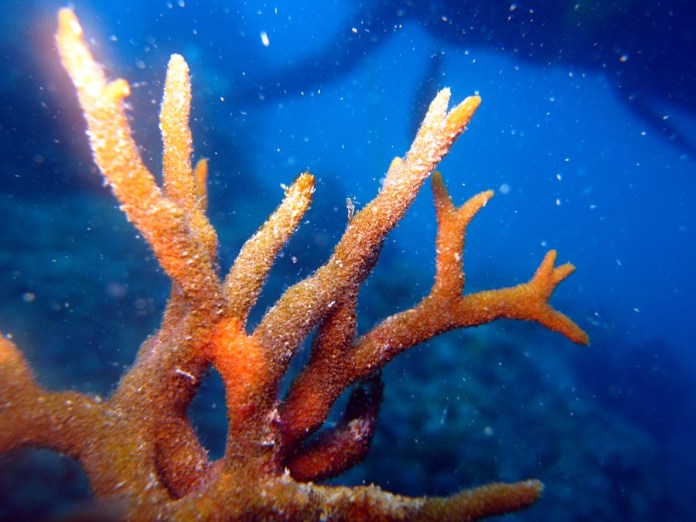 Disponibile l’ultimo numero di Ambiente Informa