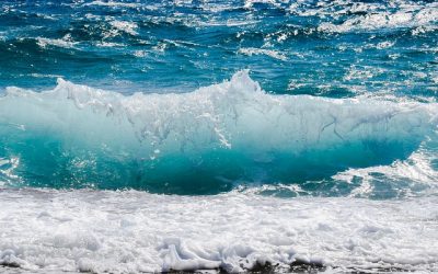 Veritas ha presentato la gestione della fognatura e della depurazione: “Bandiera blu” per tutte le spiagge